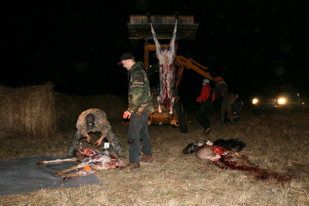 Davis and Loren Butchering 2008