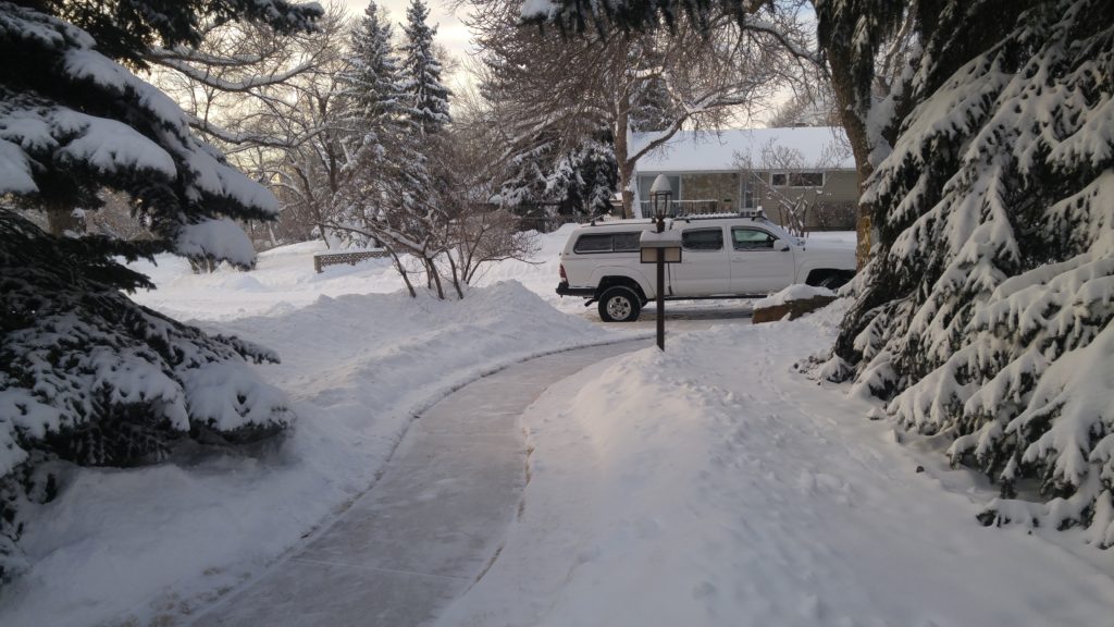 Snowy front yard