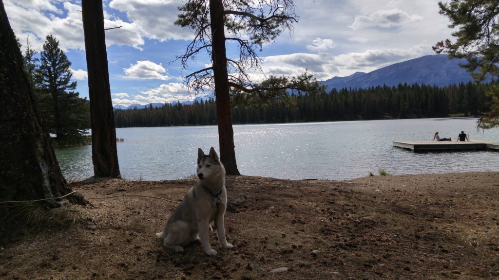 Mika Overlooking Lake Annette