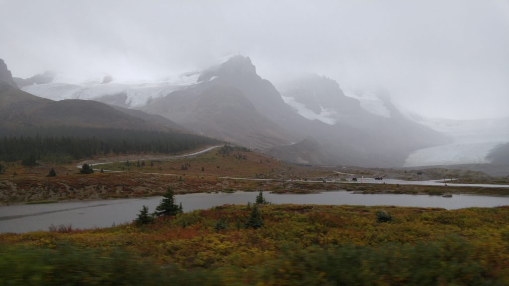 Alpine Meadow along the Icefields Parkway