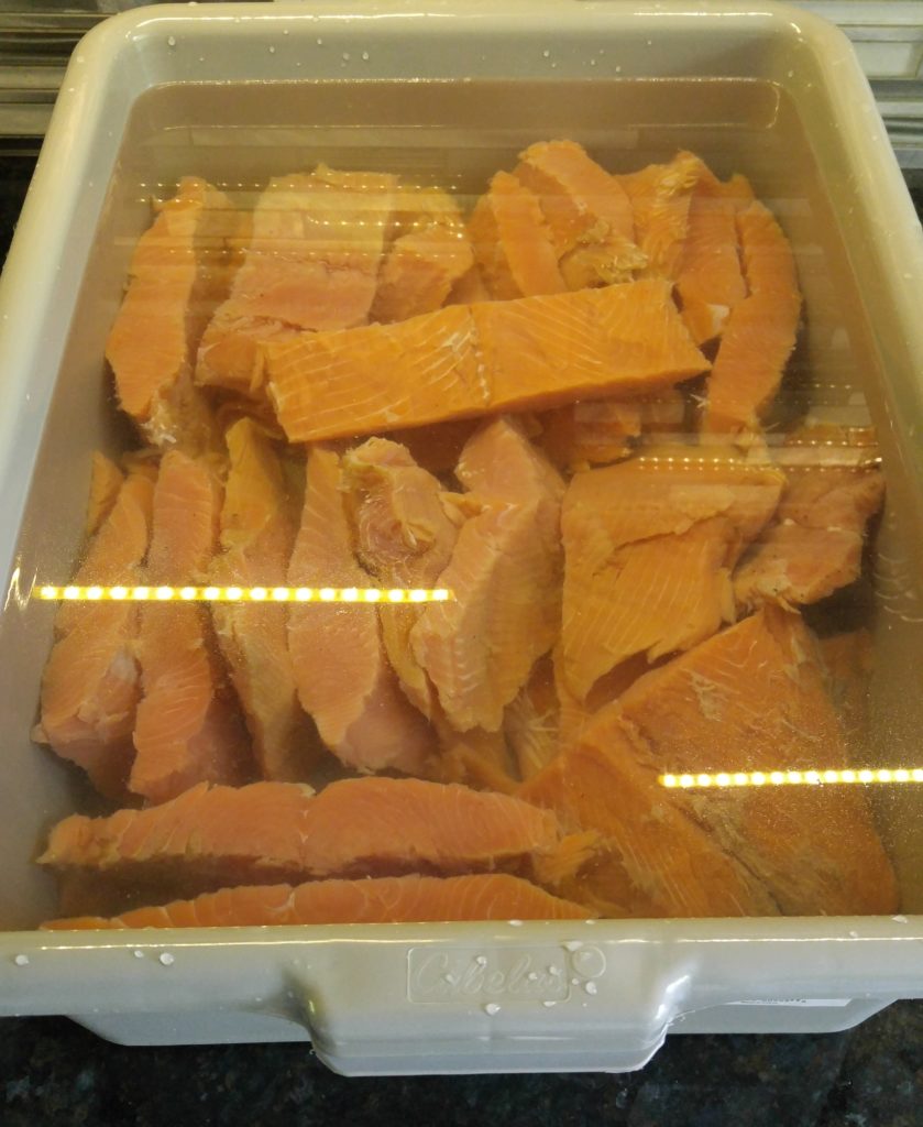 Salmon Soaking in Brine