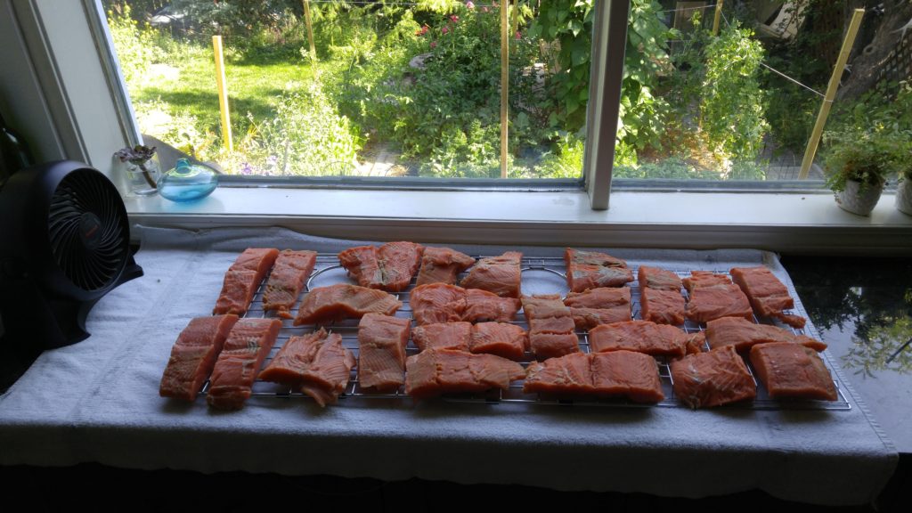 Brined Salmon Drying