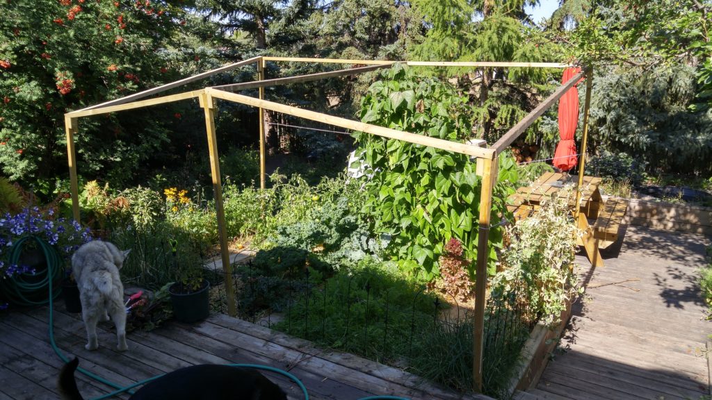 Our 2017 Garden (after beet and radish harvest)