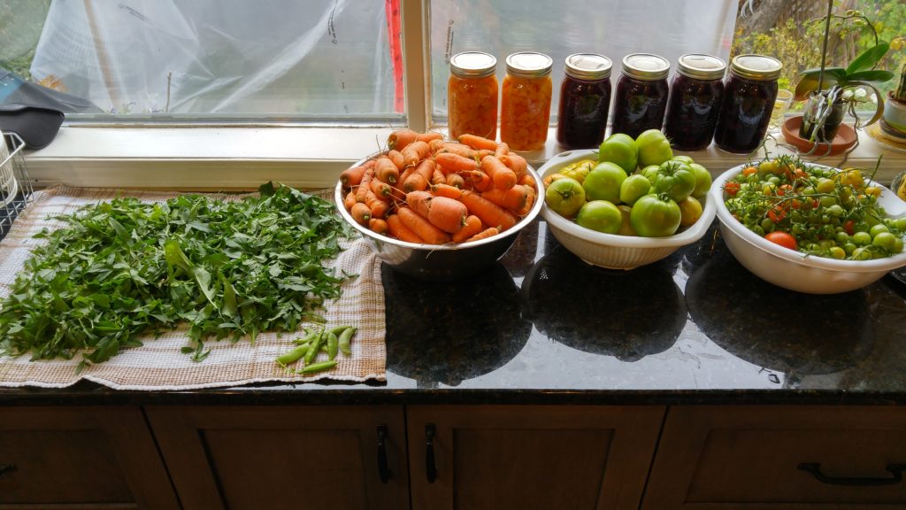 Tomatoes, Carrots, Arugula and Pickled Beets