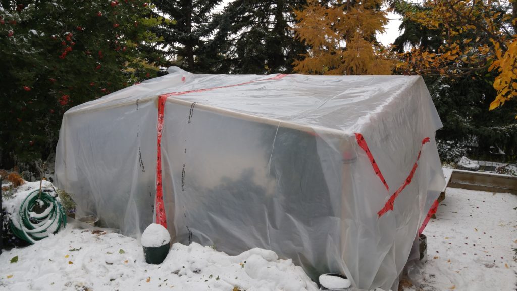 2017 Greenhouse in Snow