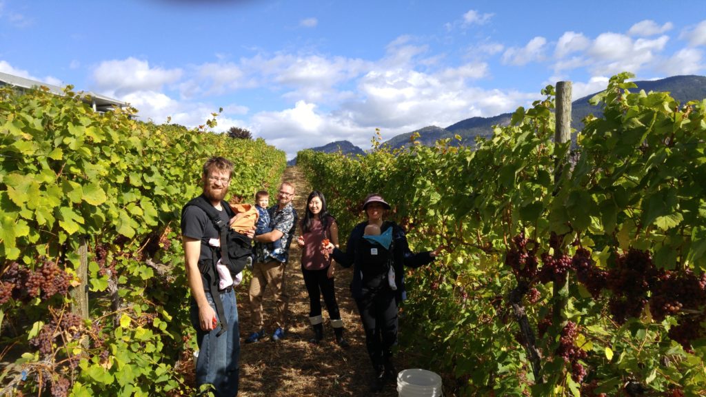 The Picking Crew