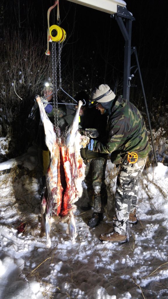 Skinning Dad's doe at night