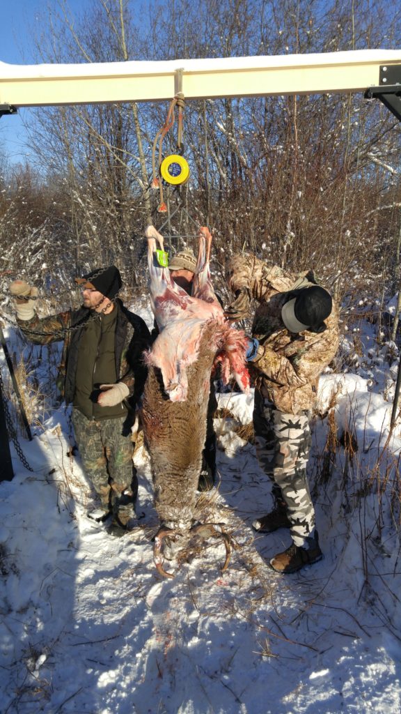 Skinning the whitetail buck that Davis shot