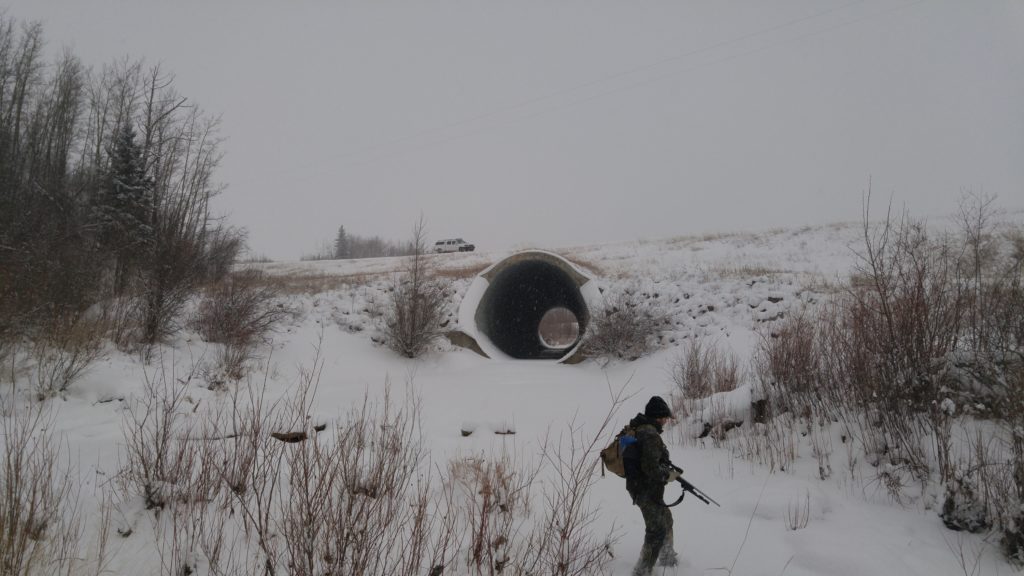 Start of valley hunt