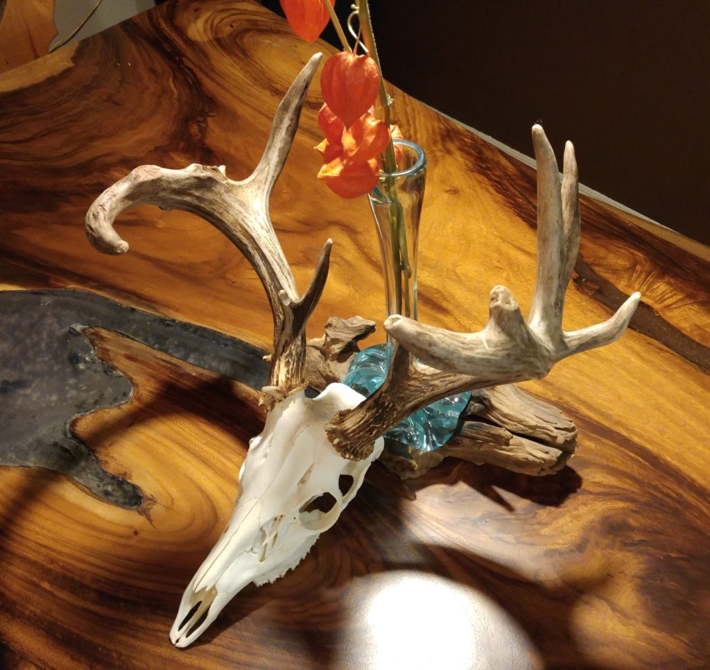 Euro Mount Davis' Whitetail