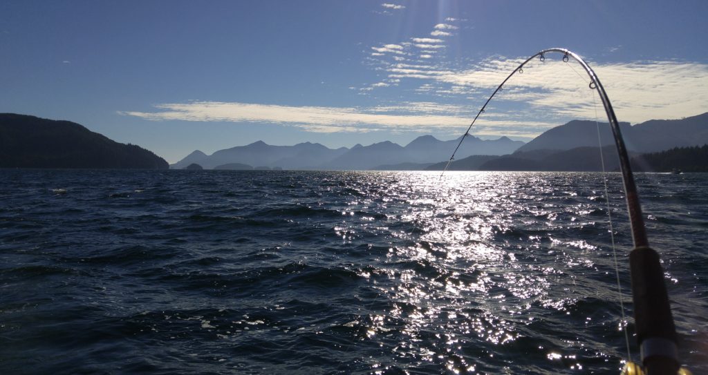 From left to right; Bligh, Spanish Group, Nootka & Vancouver Islands in dazzling sunlight