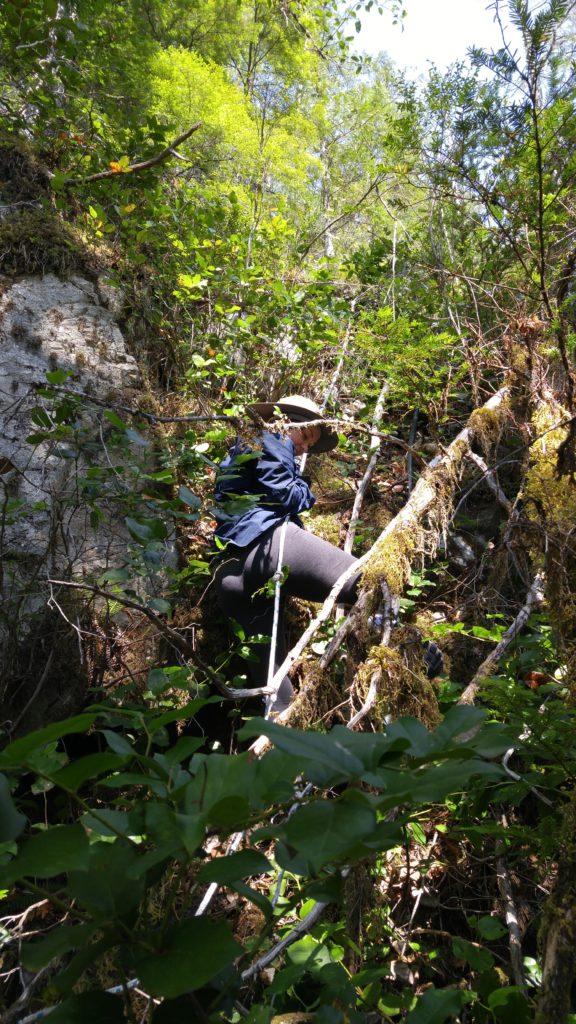 Janet descending the rope ladder