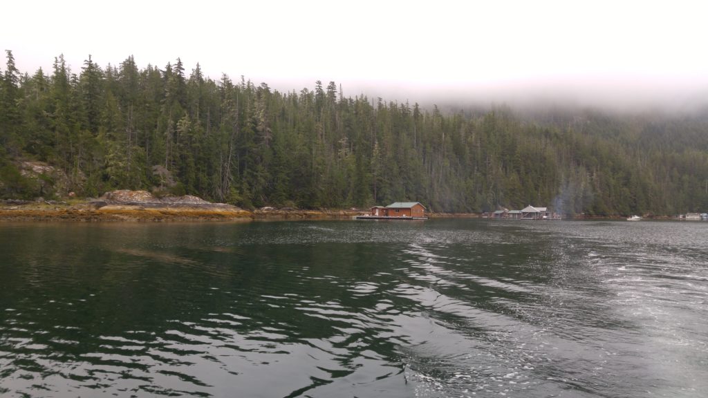 Shivas Cabin with Low Cloud