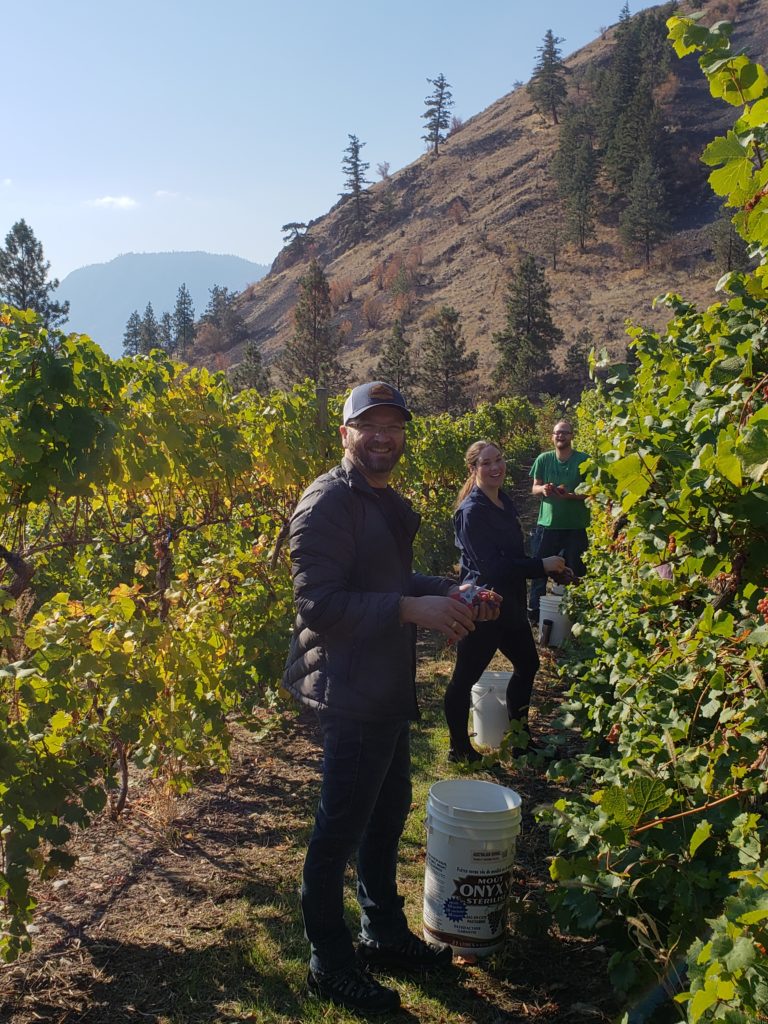 Davis Loren and Janet picking grapes