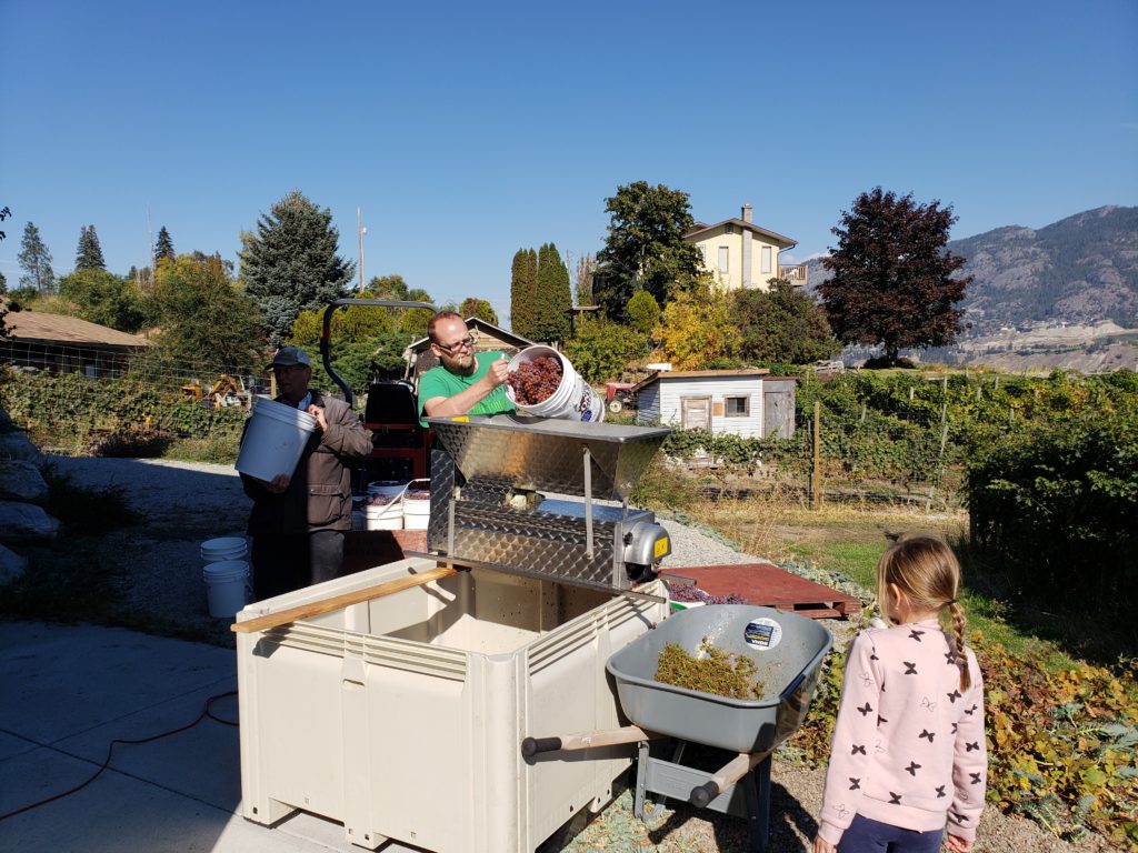 Crushing the gewurtz