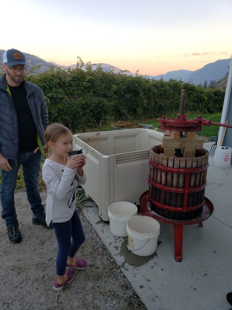 Madeline performing some quality control on the gewurtz juice