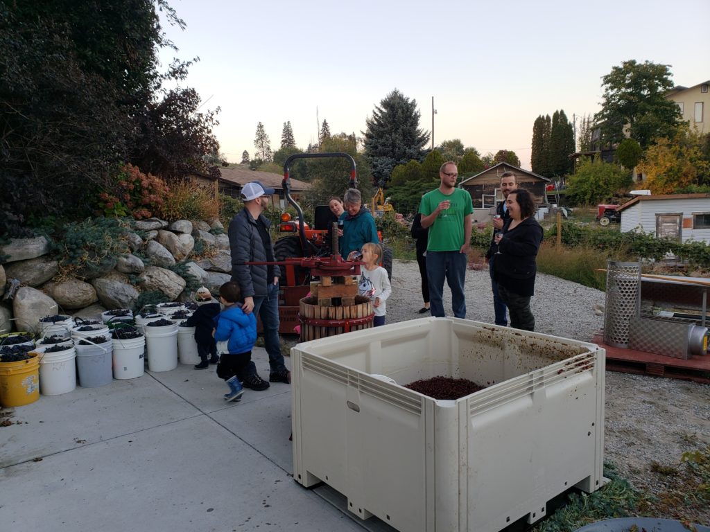 Pressing the gewurtz