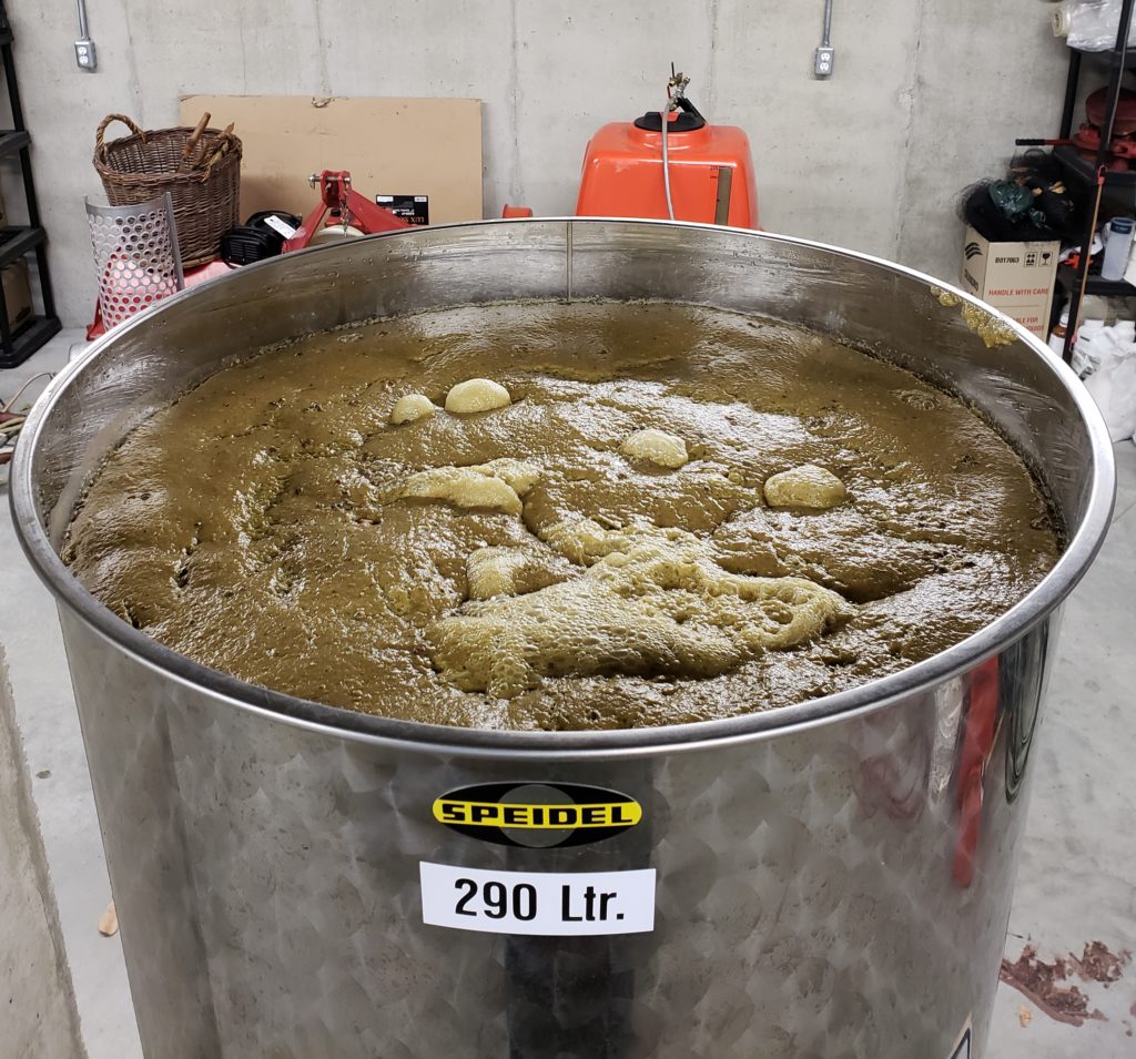 gewurtz fermenting