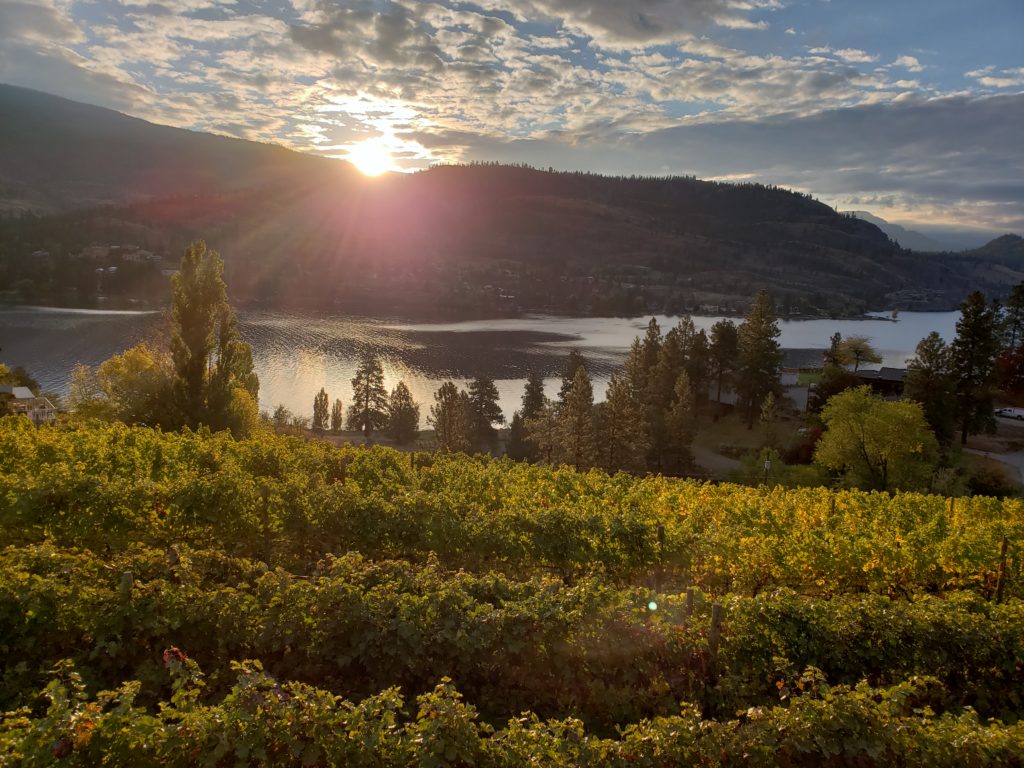 Sunrise over Skaha Lake and the vineyard