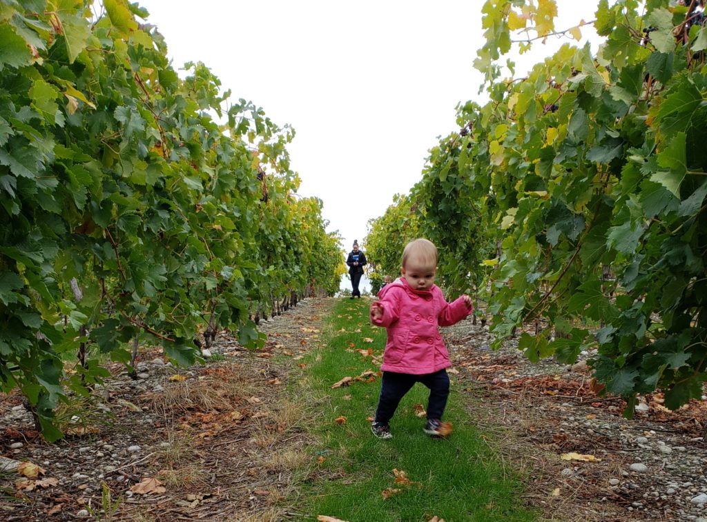 Eileen in the vineyard