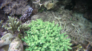 vlcsnap-2016-02-14-16h59m20s245