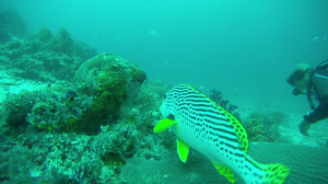 vlcsnap-2016-02-14-19h46m52s140