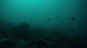 vlcsnap-2016-02-14-19h48m06s126
